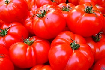 jacques pepin tomato gratin