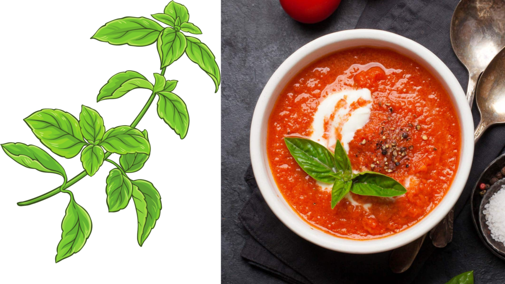 Best tomato soup recipe